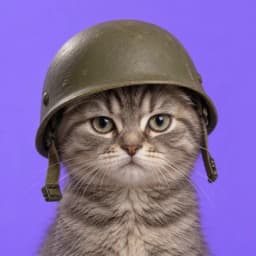 Taurus, a grey tabby cat in a horned helmet
